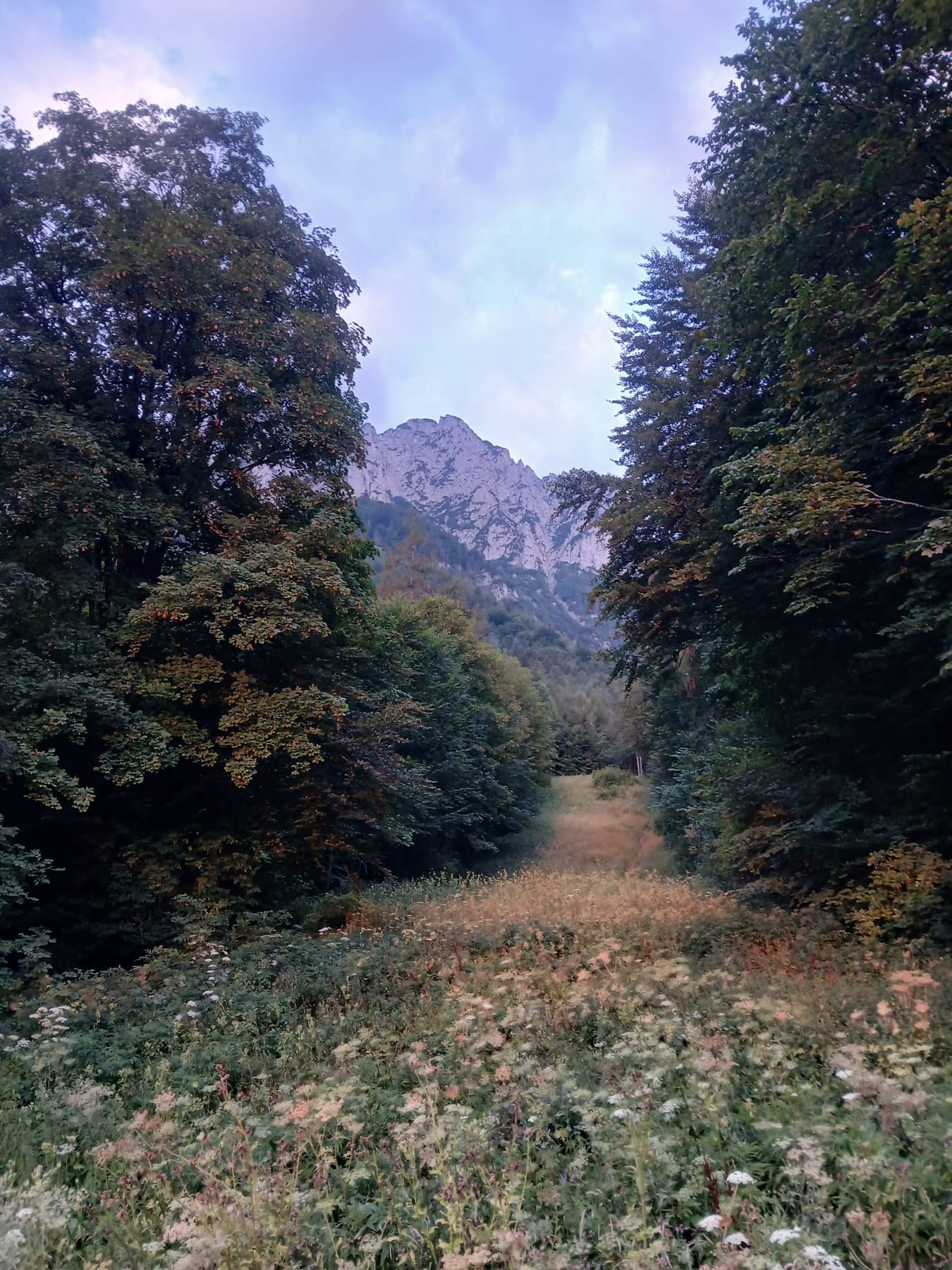 Pidinger Klettersteig · Hochstaufen · Chiemgauer Alpen