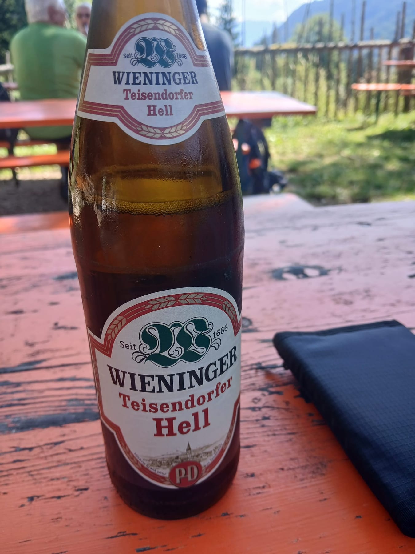 Pidinger Klettersteig · Hochstaufen · Chiemgauer Alpen